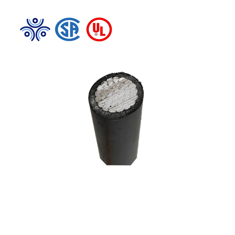 Rpvu 90 1000V 10 AWG Copper Conductor Underground Rpv90 PV Solar Wires Factory Price for Canada Market