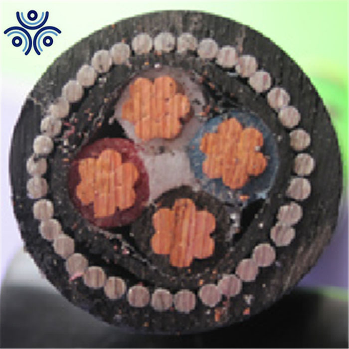 Cable de núcleo de PVC con armadura de alambre de acero 4