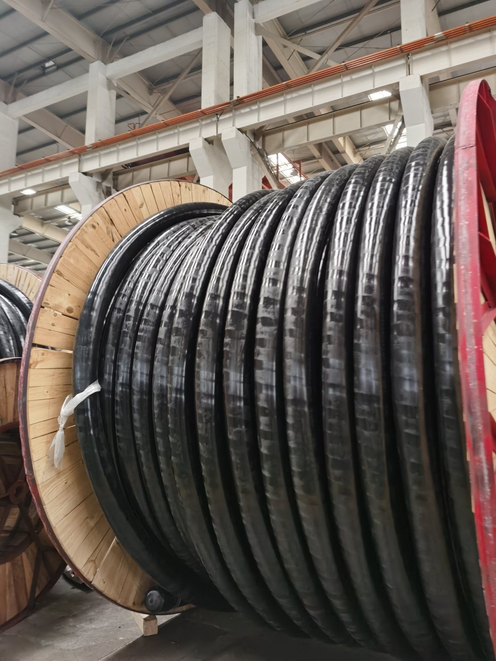 Teck Cable 2X10+12 AWG CSA Certified Multiconductor 10 AWG 600V Copper Building Cable