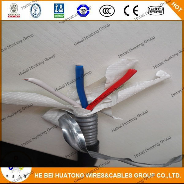 Type Mc Cable