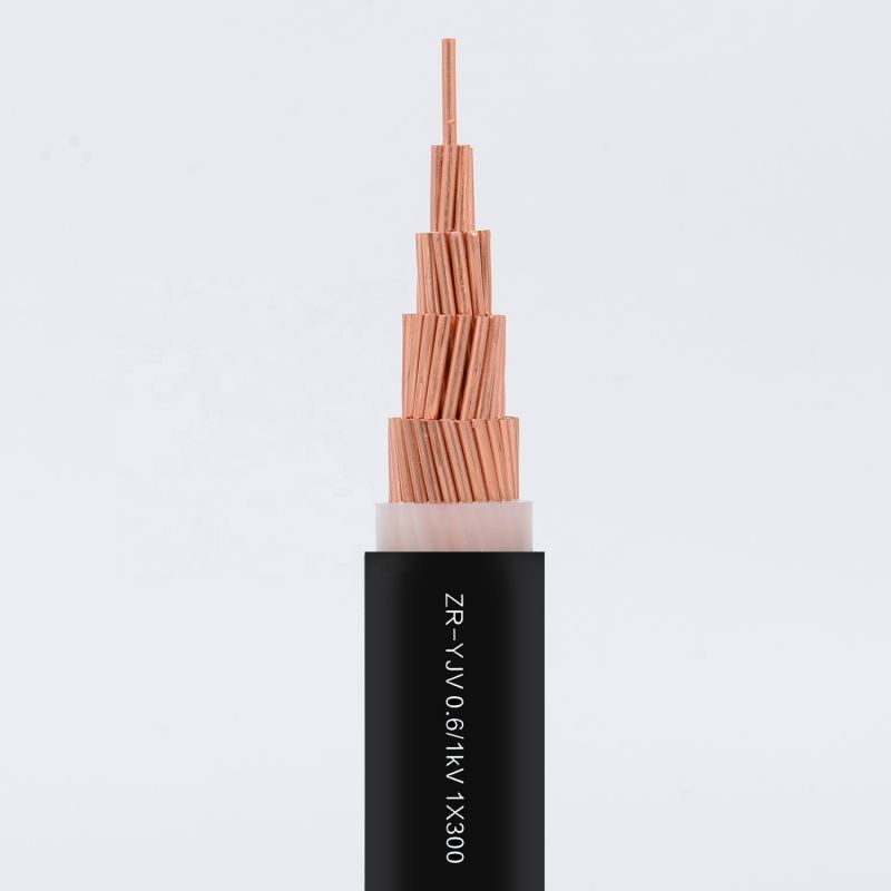 0.6/1kv XLPE/PVC Insulated Copper/Aluminum Conductor Swa Power Cable Electrical Wire