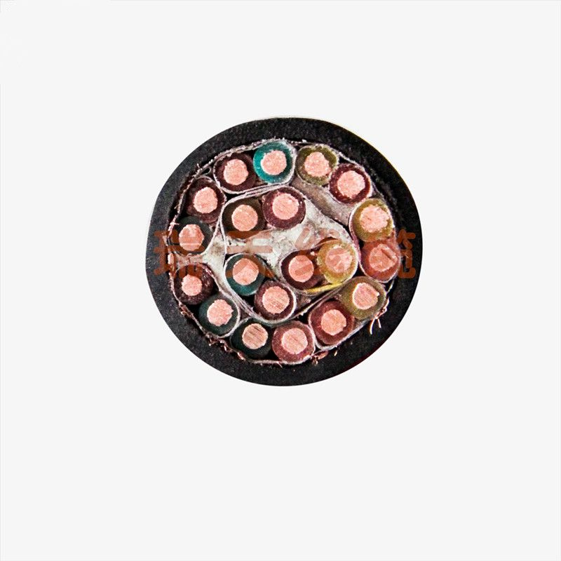 Bare Copper Shielded Wire Control Cable Electrical Wire with Anti-Interference