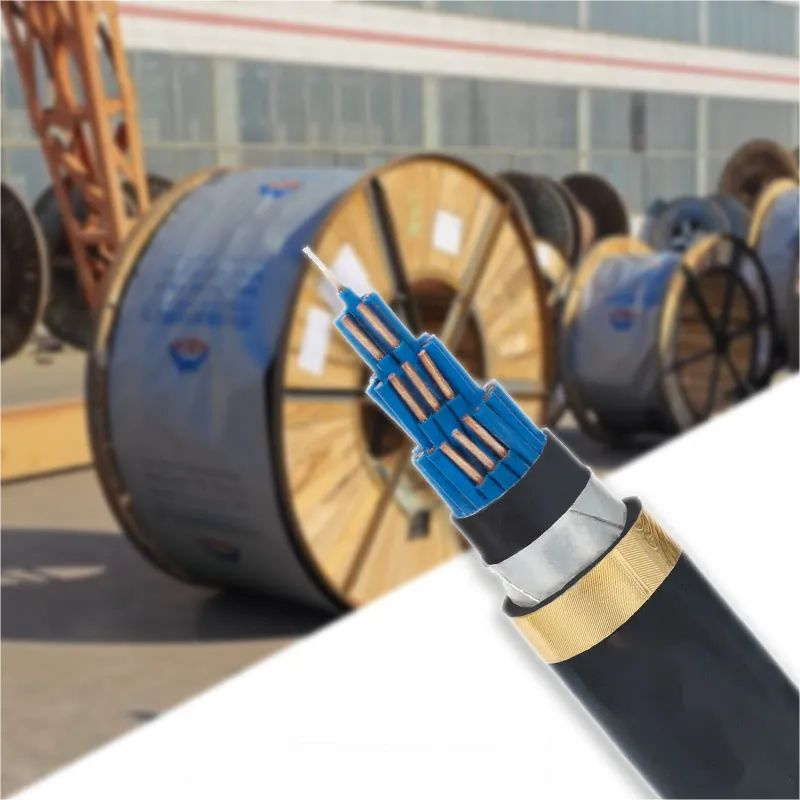0.6/1 (1.2) Kv PVC Insulated Galvanized Steel Tape Armored Nyby Control Cable