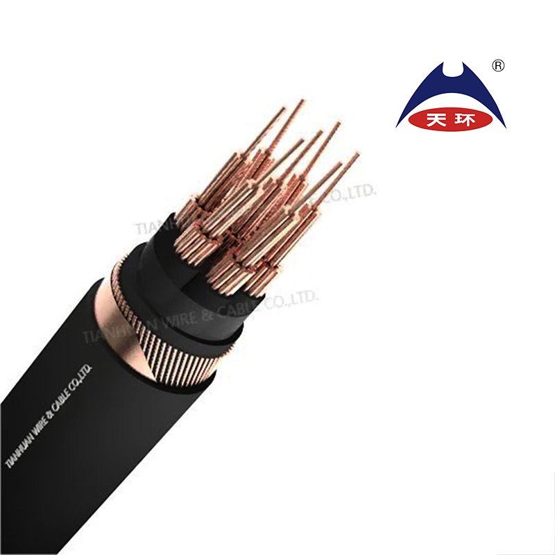 0.6/1kv N2xcy Copper Conductor XLPE Insulated Concentric Copper Wire Control Cable