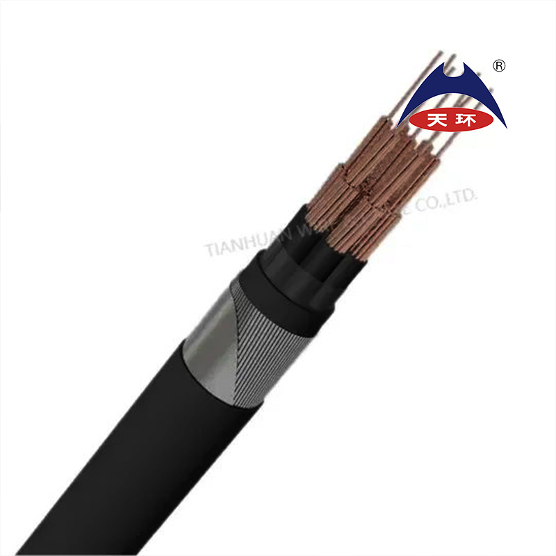 0.6/1kv N2xfgby Galvanized Flat Steel Wire Armor PVC Sheathed Control Cable