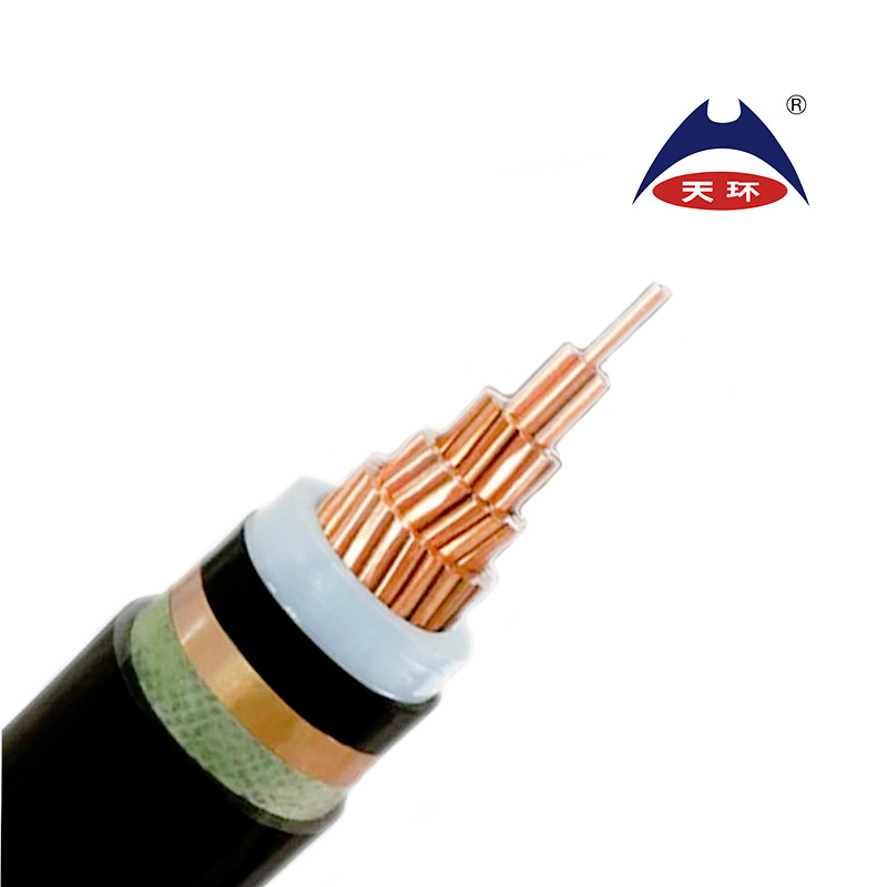 0.6/1kv Nyy Nayy N2xy Na2xy PVC/XLPE Insulation Electric Power Cable