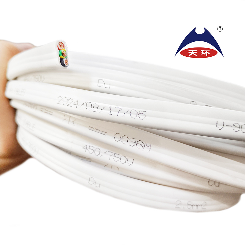 100m/Roll AS/NZS 5000.2 Standard 1.5mm 2.5mm 4.0mm 6mm 10mm 16mm Flat TPS Cable SAA Standard Cable