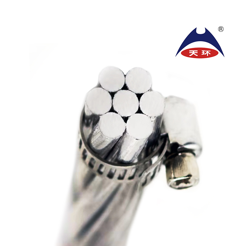 All Aluminium Alloy Conductor AAAC 155.4 300 394.5 559.5 652.4 900 1077.4 Mcm Overhead Line for Power Transmission Lines