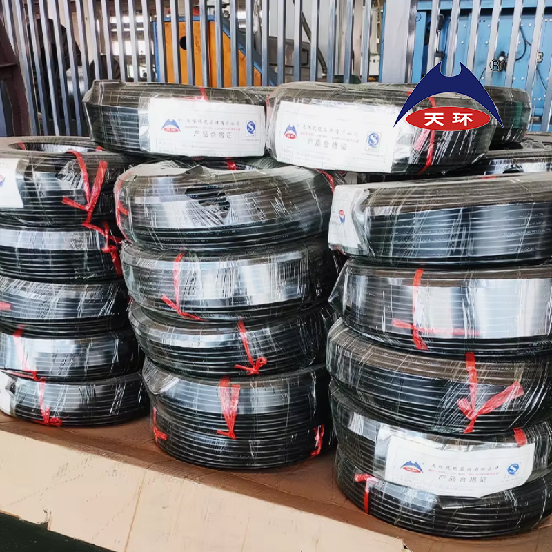 CE/CCC/IEC H03V2V2h2-F Cable En50265-2-1 3 Core 2 Core Electric Wire