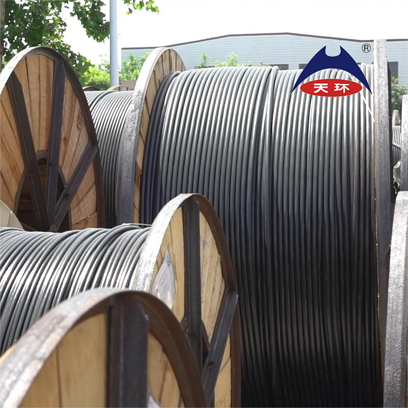Chinese Factory Yjlhv Aluminium Alloy Power Cable XLPE AAAC 0.6/1kv PE Sheathed Power Cable Armoured/Unarmored Rare-Earth Alloy Cable