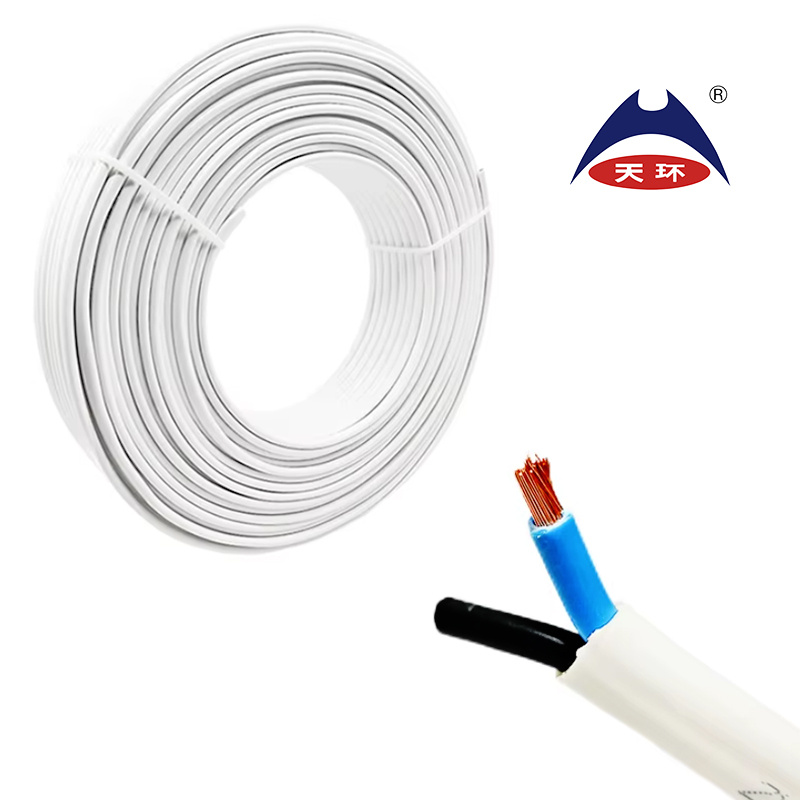 Copper Conductor Double Sheathed Dual Core Building Fixed Flat Power Cable H03V2V2h2-F