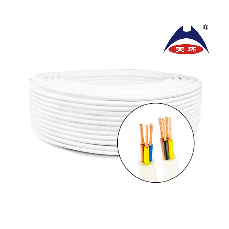 H03V2V2-F/ H05V2V2-F 2.5mm 4mm 6mm Building PVC Insulation Copper Electricity Electrical Cable Wire for House Wiring