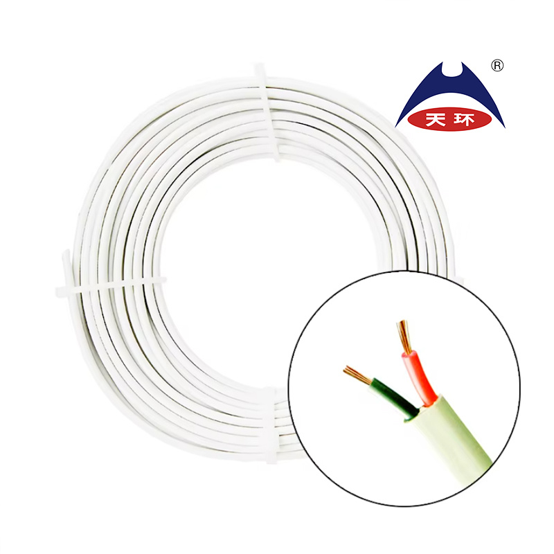 H03vvh2-F/Rvvb/BVVB 1.5/2.5/6mm PVC Flat Sheathed Wire Copper Core PVC Insulated Cable House Wire