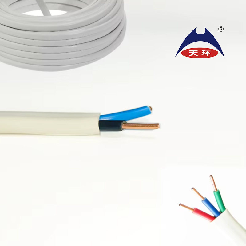 H05vvh2-U BVVB 4mm 6mm 10mm PVC Insulated PVC Sheathed Connecting Cable with Circular and Solid Conductors