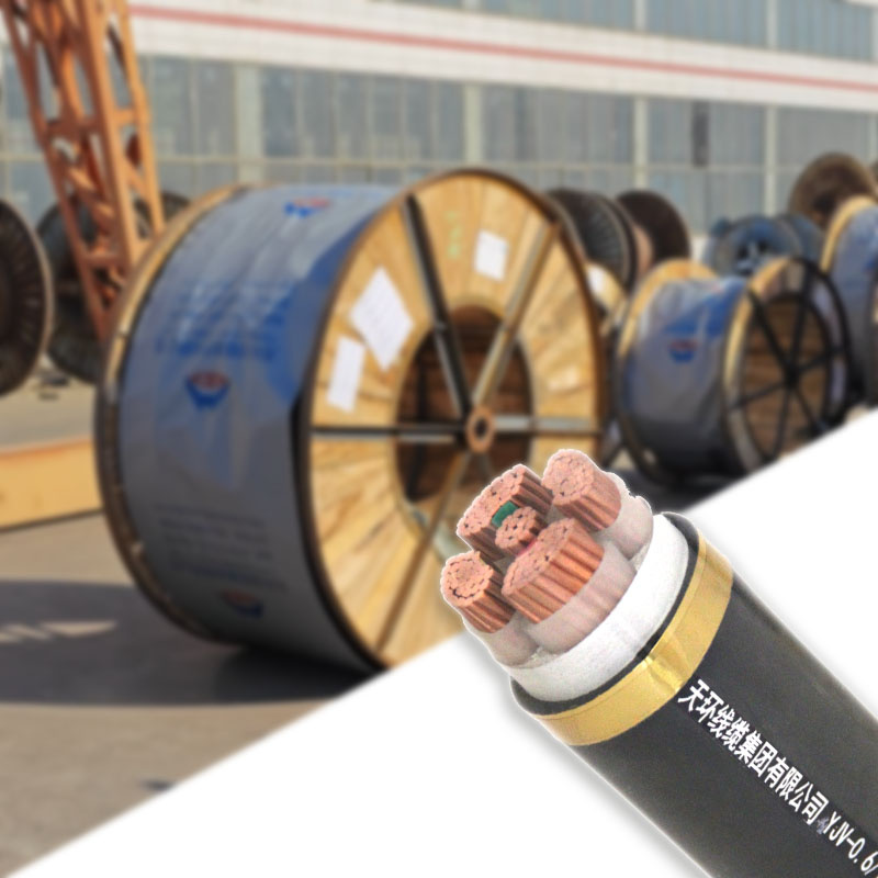 High Quality Non-Toxic Weather Resistance Radiation Resistance Armoured Cable for Power Station