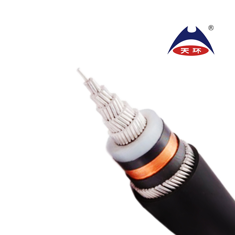 Low Voltage PVC/XLPE Single/Multiple Cores Power Cable with ISO 9001 China Factory