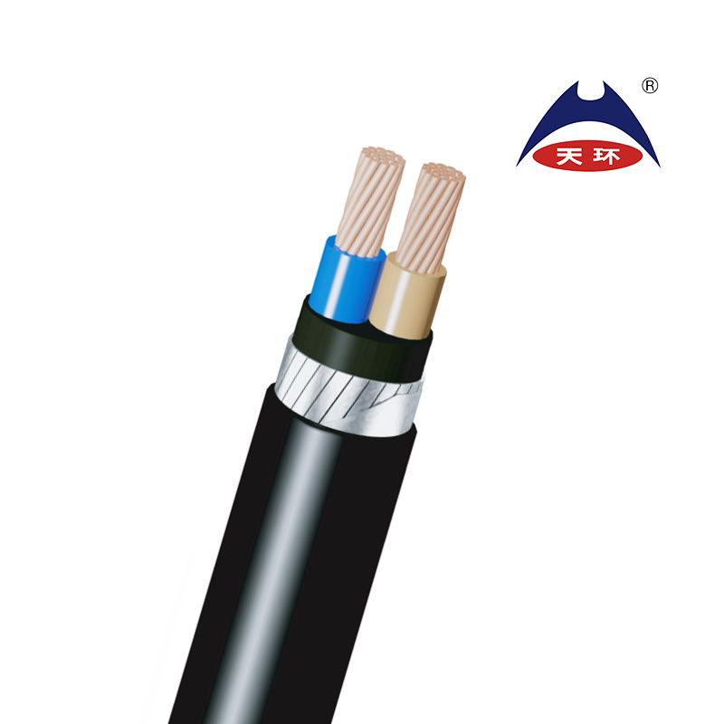 N2xfgby Copper Conductor, XLPE Insulated, Galvanized Flat Steel Wire Armor, PVC Sheathed, 0.6/1kv Power Cable
