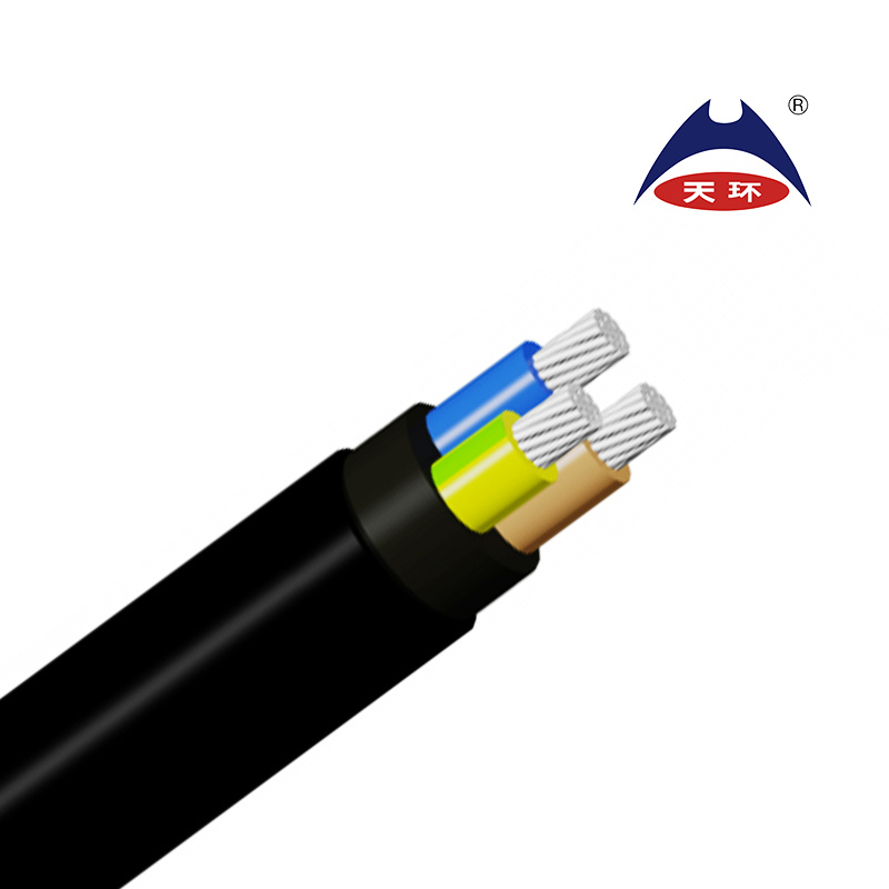 Na2xy 0.6/1kv with Al Conductors, XLPE Insulated and PVC Sheathed Unarmored Multi Core Power Cable Power Lead