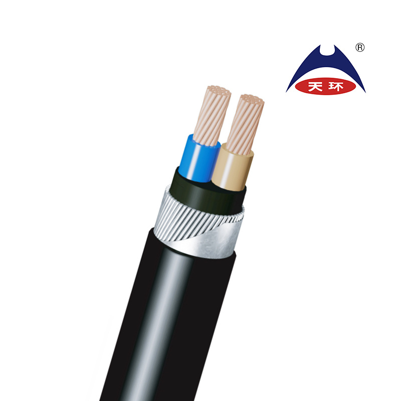 Nyrgby Copper Conductor, PVC Insulated, Galvanized Steel Wire Armor, PVC Sheathed, 0.6/1kv Power Cable