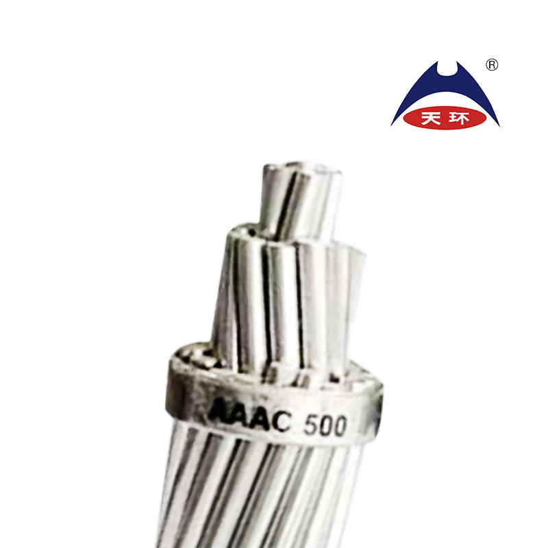 Overhead Transmission Cable All Aluminium Alloy Conductor AAAC 35.5 59.9 89.7 118.9 211.0 362.1 821.1 996.2 Aerial Cable From China Factory