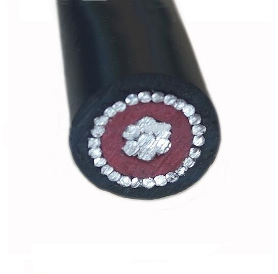 2X8mm 2X16mm Aerial Service Concentric Neutral Cable with Pilot Communication Wire Sne Cne Airdac Cable