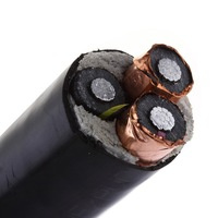 3X70/35mm2 N2xse (FL) 2yr2y 6/10 (12) Kv Oil Resistant Cable