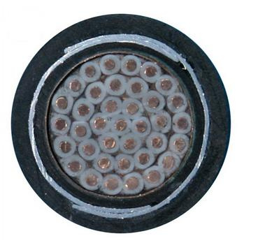450/750V Copper Wire Braiding Shielded PVC Control Cable