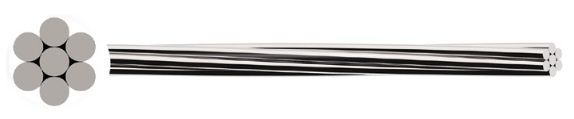 AAC - ASTM - B All Aluminium Conductor Rose Aster Poppy