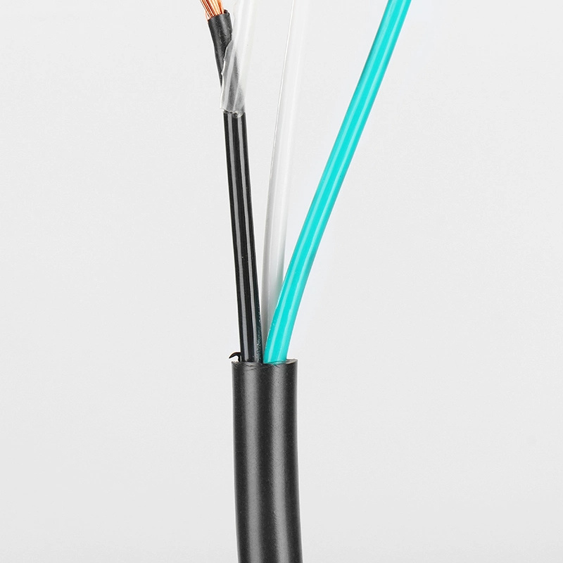Cable Tsj Tsj-N 3X12 3X10 2X10 2X8 PVC Insulated Nylon Electrical Cable and Wires